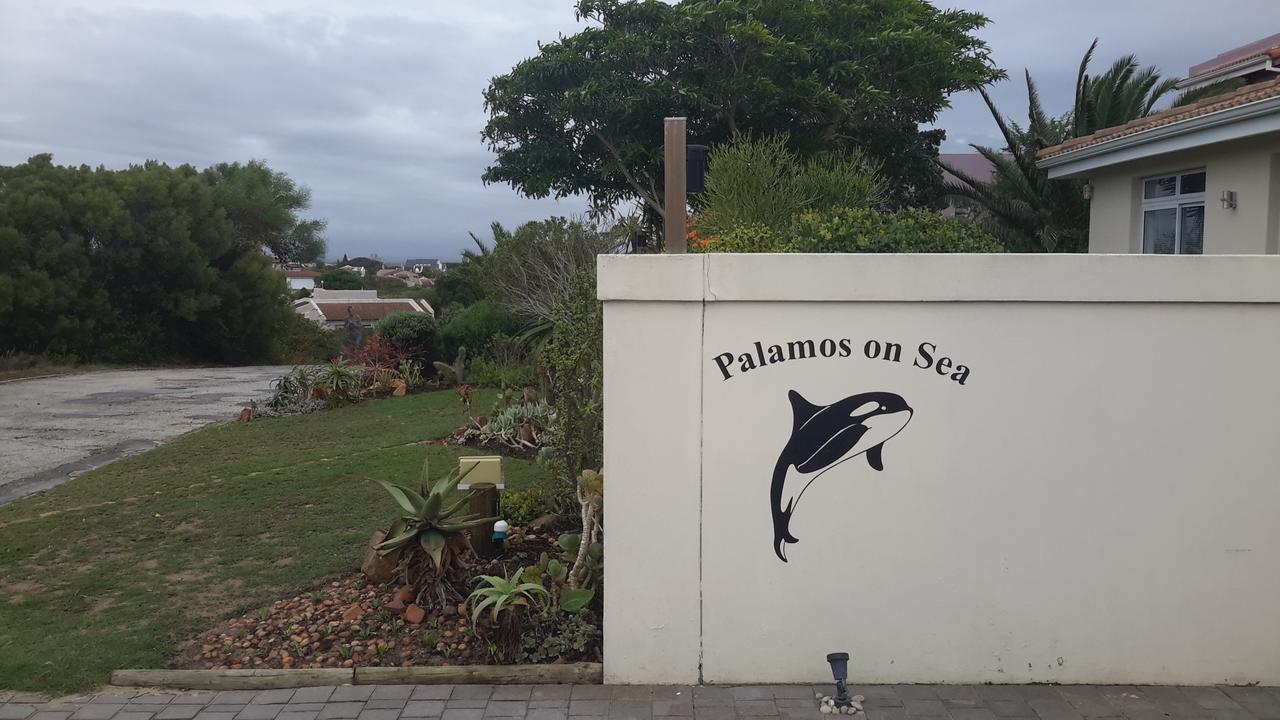 Отель Palamos On Sea Сент-Френсис-Бей Экстерьер фото